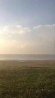 kooの画像