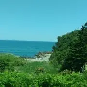 さーとの画像