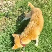 yhktnの画像