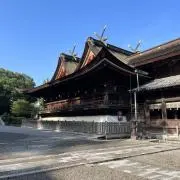 まさまさの画像