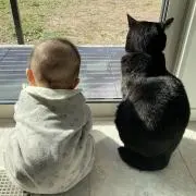 黒猫れいくん*☆★即購入歓迎★☆の画像