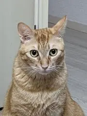 IIKUNの画像