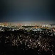 ネーの画像