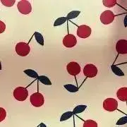 のんの画像