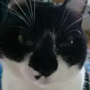 パッつん