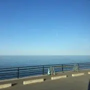 i.s