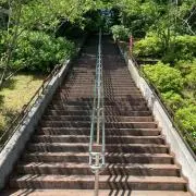 kitの画像