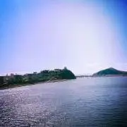 sentinelの画像