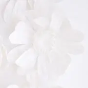 れもんの画像