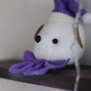 Kameの画像