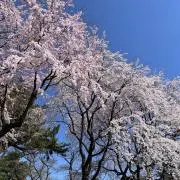 あお（プロフ必読）の画像