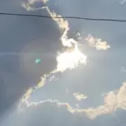 Kikunyyyの画像