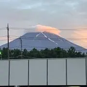 メル38402の画像