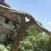 らぴすの画像