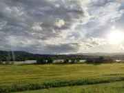 S.Sの画像
