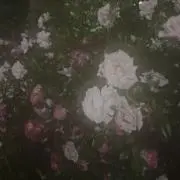 ち