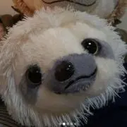 シャルル(Charles)