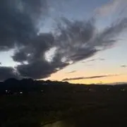 mogiの画像