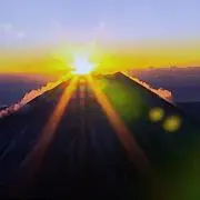 ジャガポックルの画像