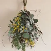 ミモザ
