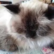 たっきーの画像