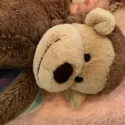 ぴぴ︎の画像