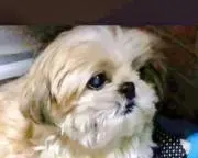 みっchan★の画像