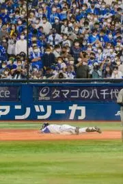 【取引580件超！要プロフ必読】横浜優勝の画像