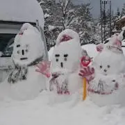 ひじきママの画像