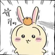 usagiiの画像