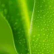 R☆H☆3の画像