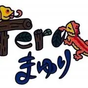 Teraまゆりの画像