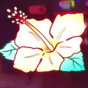 CiKARi・Y-Kの画像