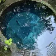 あおの画像
