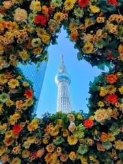 usa.ririの画像