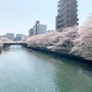 しず