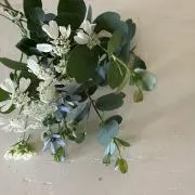 オリーブの画像