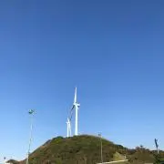 やくもの画像