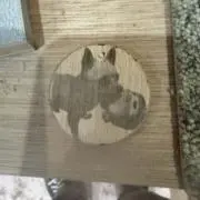 Break