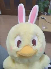うさピヨの画像