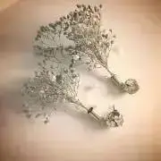 ぽん(˙˘˙̀の画像