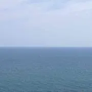 Y-T