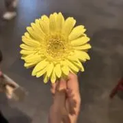みいの画像