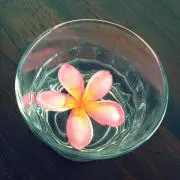 yukarisuの画像