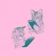 Nekoの画像