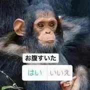 断捨離の画像