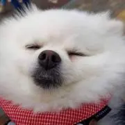 Mの画像