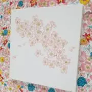 ypの画像