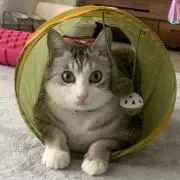 な