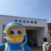 おたるの画像